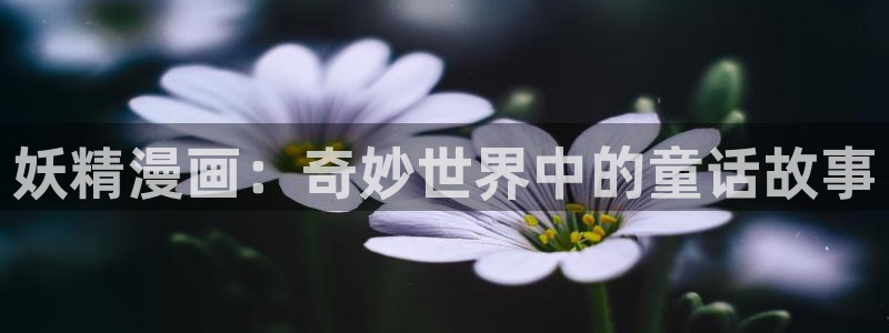 香蕉文化动画漫画