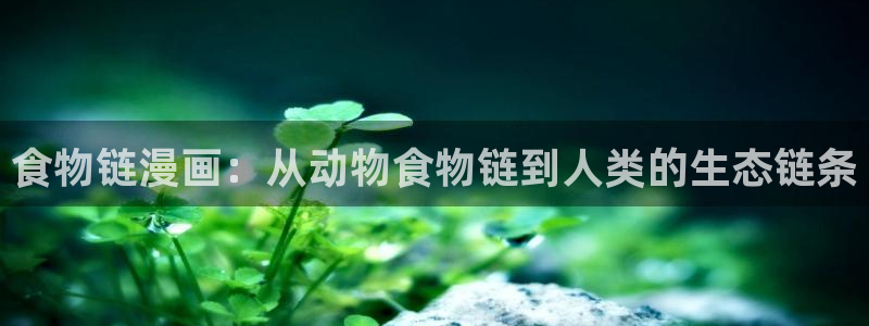 香蕉文化漫画阅读