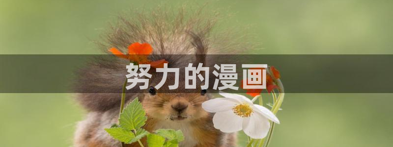 香蕉漫画韩国