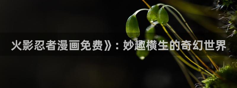 香蕉小说漫画下拉更新