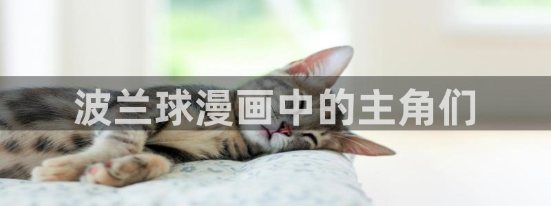 香蕉文化—漫画小说更新快内容