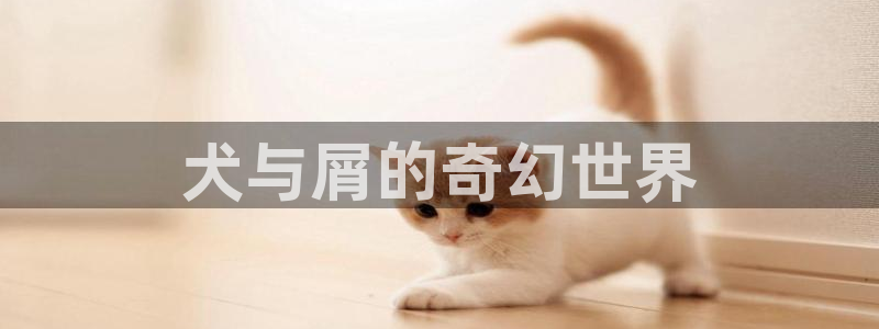 香蕉文化漫画