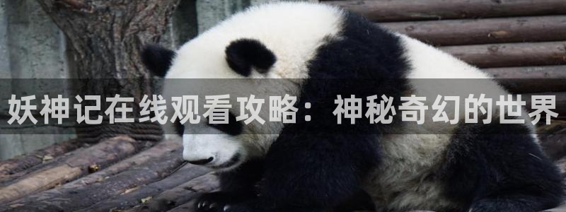 香蕉漫画网络
