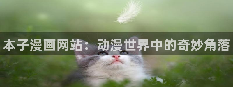 香蕉人文化漫画书下拉式