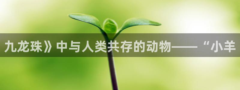香蕉漫画在线观看免费网页：九龙珠》中与人类共存的动物——“小羊