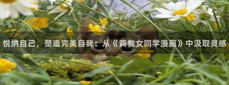 香蕉文化漫画书阅读下拉式推荐：悦纳自己，塑造完美自我：从《调教女同学漫画》中汲取灵感